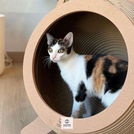 Catosphere 3D Luxury Cat Bed and Scratcher