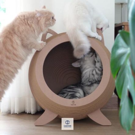 Catosphere 3D Luxury Cat Bed and Scratcher