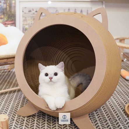 Catosphere 3D Luxury Cat Bed and Scratcher