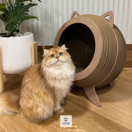 Catosphere 3D Luxury Cat Bed and Scratcher