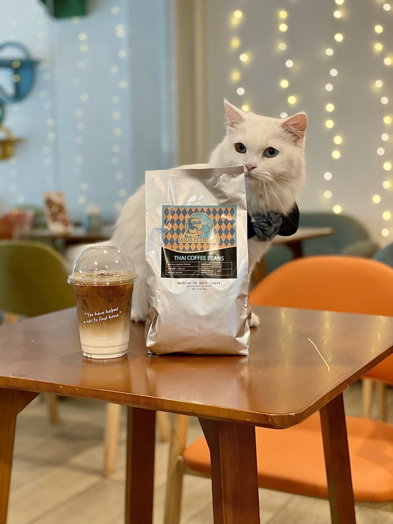 CAT-FFEINATED Gift Bag
