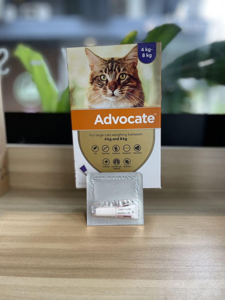 Advocate Flea Treament 4-8kg (1 Tube)