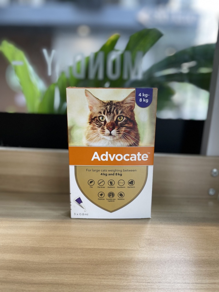 Advocate Flea Treament 4-8kg (1 Box-3 tube)