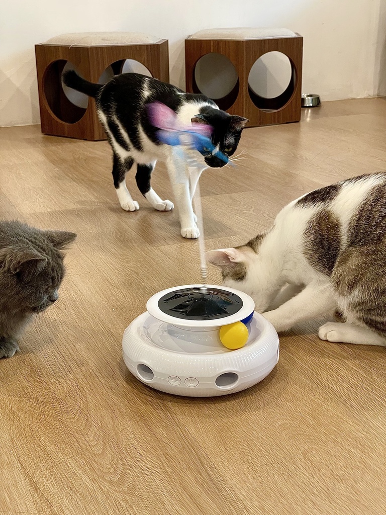 3 in 1 Sensor Smart Interactive Cat Toy