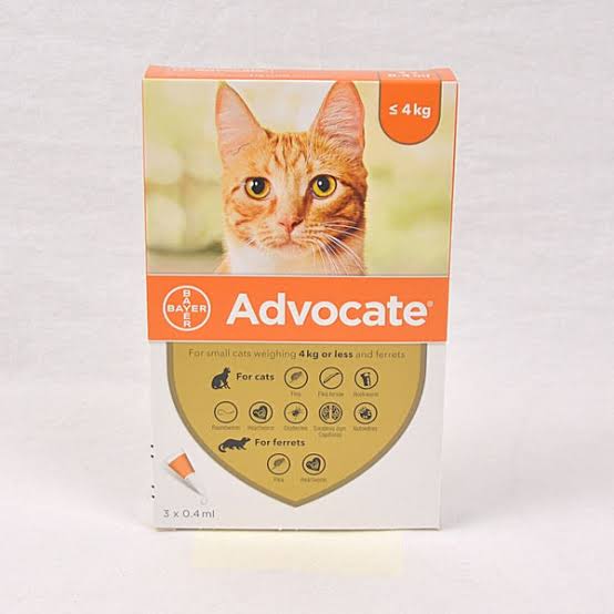 Advocate Flea Treament ≤ 4kg (1 Box-3 tube)
