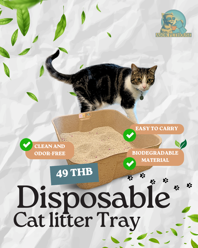 Disposable Cat Litter Tray (Eco-Friendly & Biodegradable)