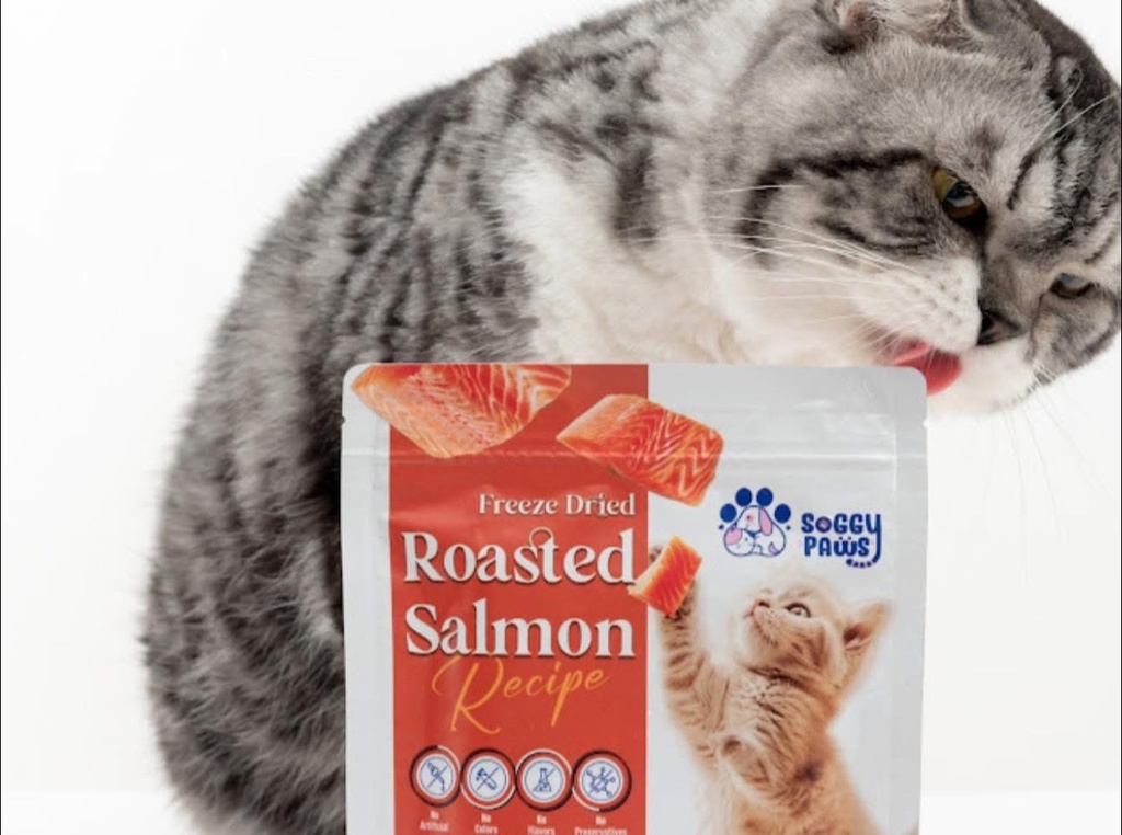 SOGGY SOGGY Freeze-Dried Cat Treats