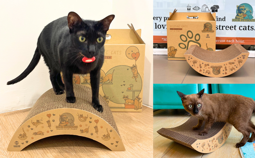 Asok Pethouse x Carton Connection Compact Scratcher