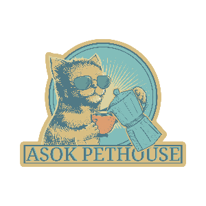 ASOK PETHOUSE