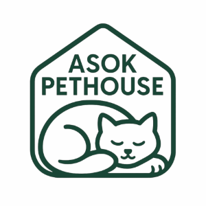 ASOK PETHOUSE